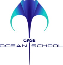 Ocean-School-logo-Colour2-min